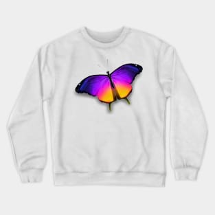 Colorful Butterfly Crewneck Sweatshirt